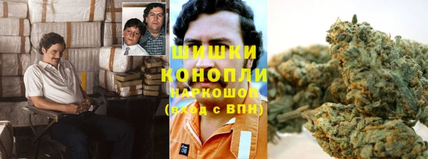 крисы Михайловка