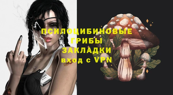 дурь Михайлов